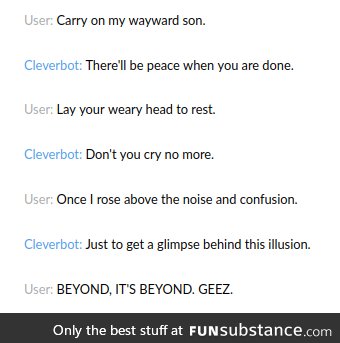 I Beat CleverBot