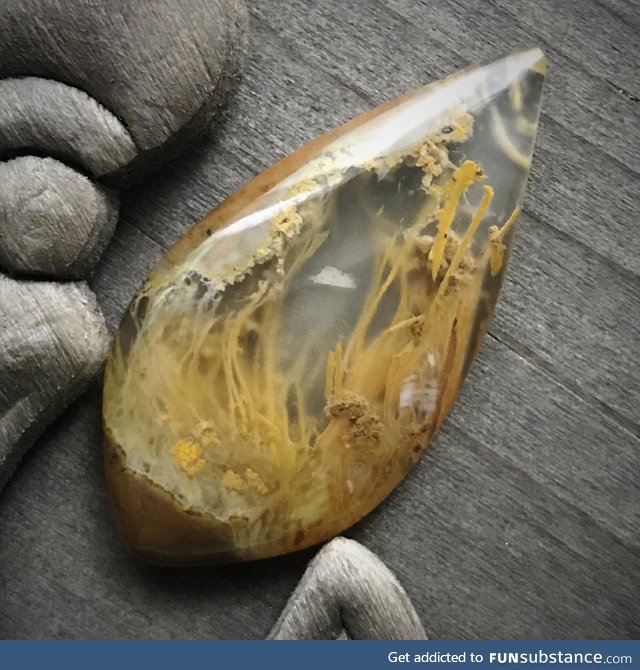 The inside of a thunder egg stone looks like an underwater secret garden