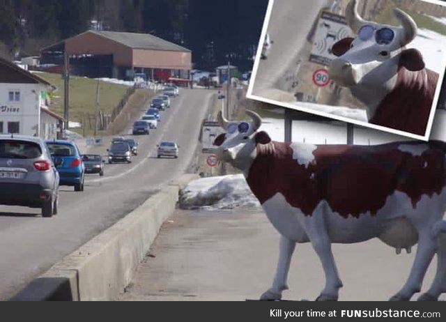 So in Switzerland the government use fake cows for radar controls