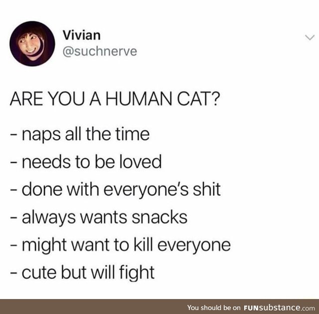 Human cat