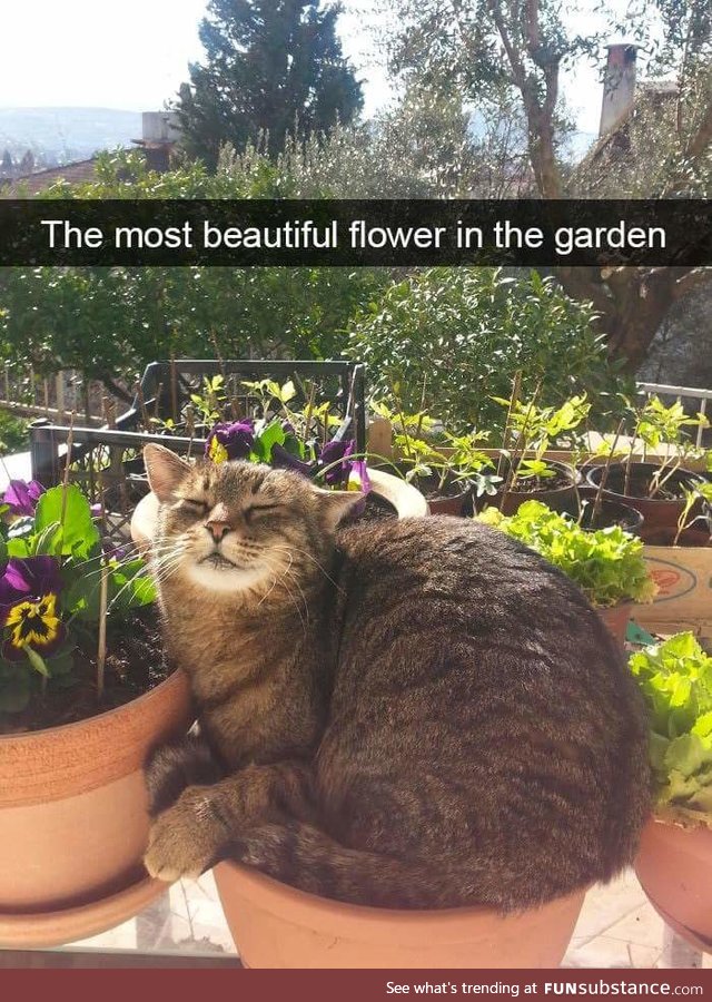 Getting some sun