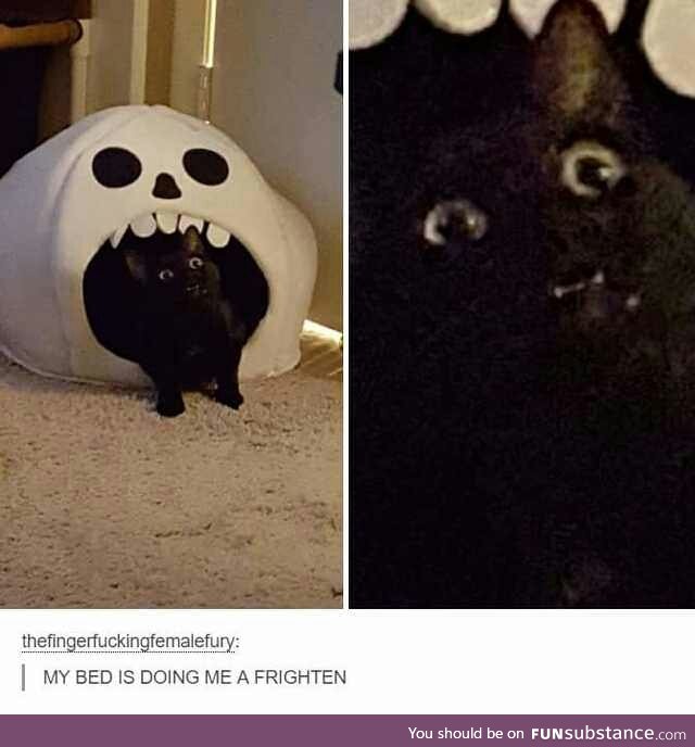 Help