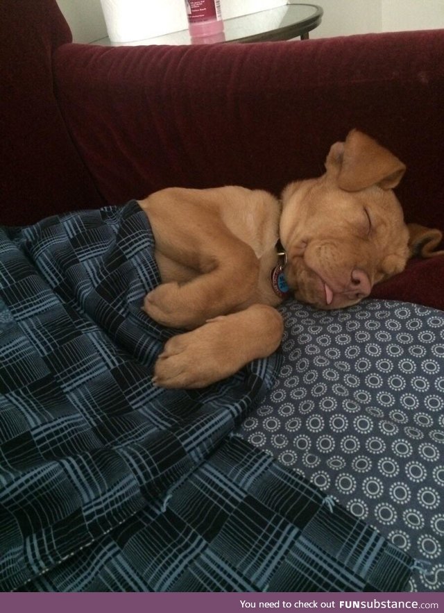 *snuggle into bed*