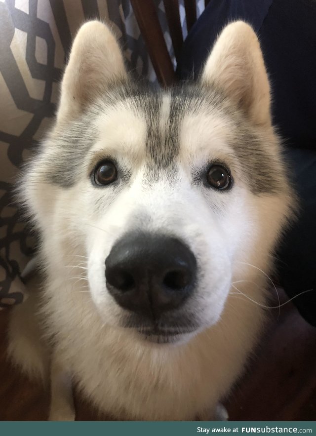 "cuddles? please?"