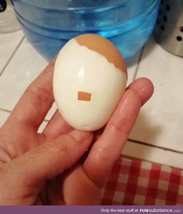 Just ordinary egg... Don't worrry