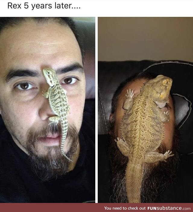 A few years makes a big difference