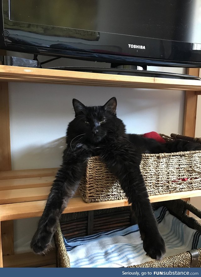 "wat?"