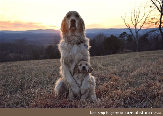 proud mommy :)