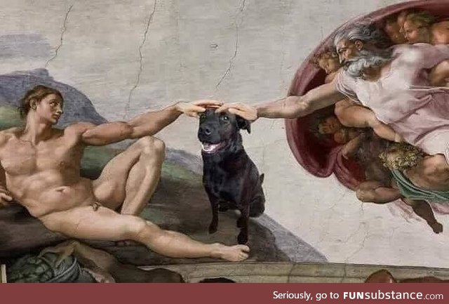 And God said onto Man: Pet the Darn Dog