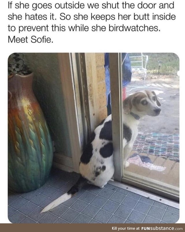 Made me smile :D so cute