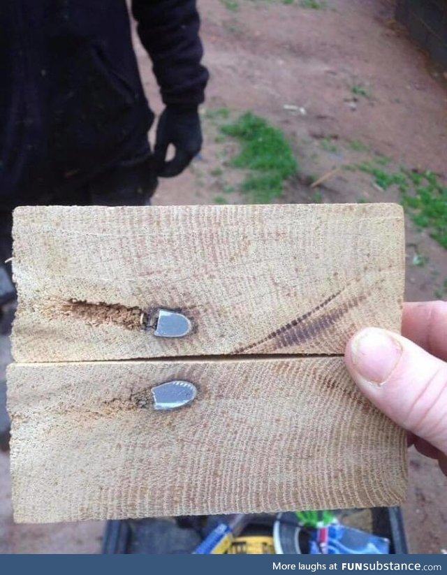 a bullet from one of the world war lodged in a french oak
