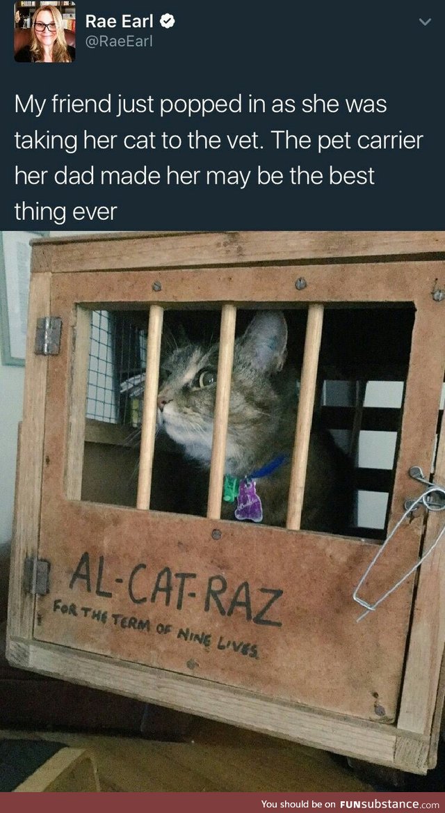 It's purrfect