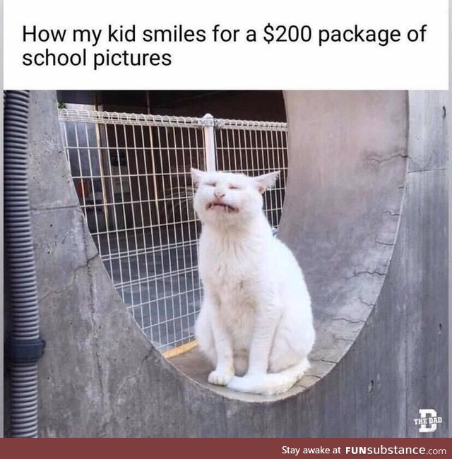 They really don’t care about our lives