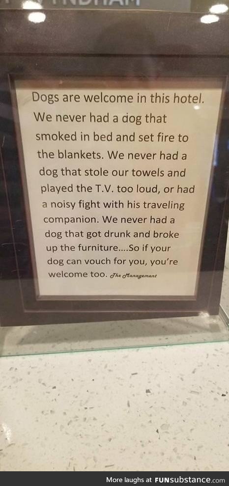 Proof dogs are too good for us