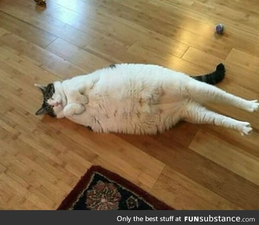 dreaming about all the snacks she had <3