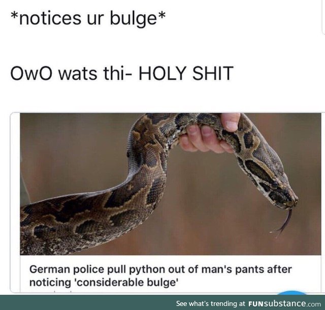 Huge bulge