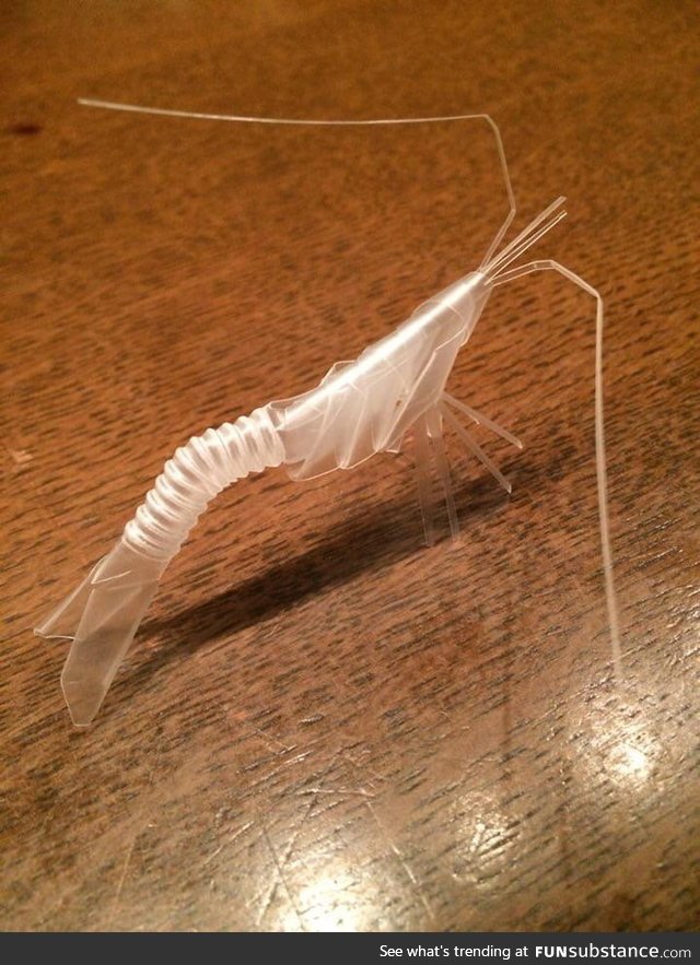 Shrimp made out of a straw