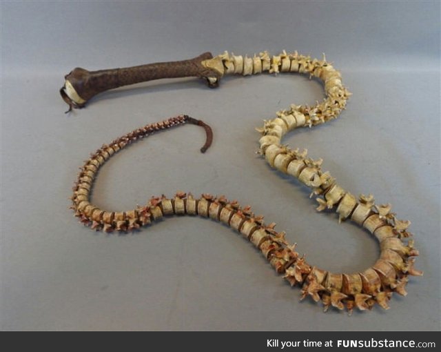 A whip made out of a spine