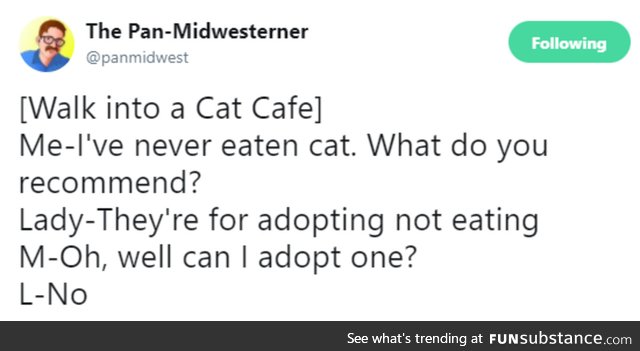 Cat cafe