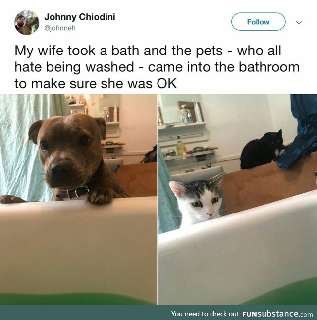 Such good friends
