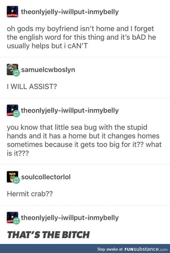 K enough absurd memes have this: