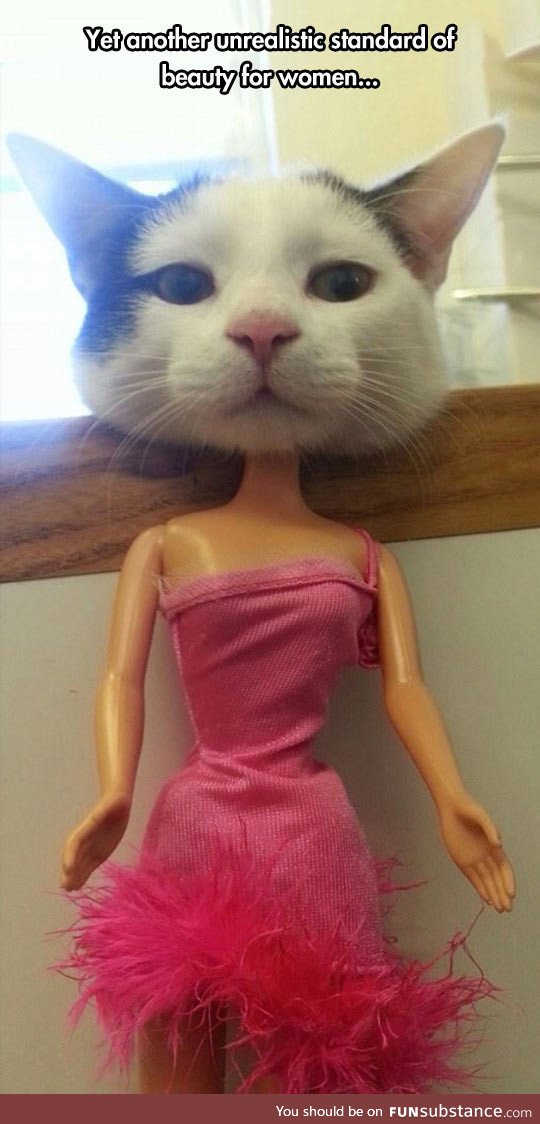 Unrealistic standards