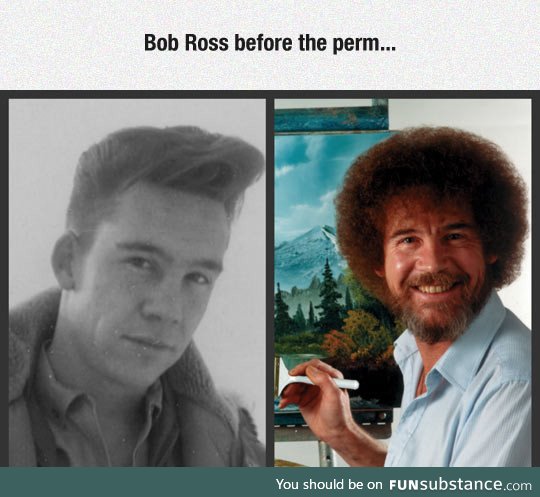 Young bob ross