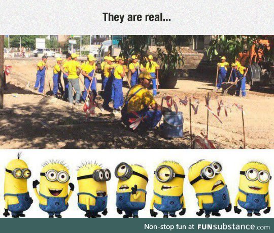 So they actually exist