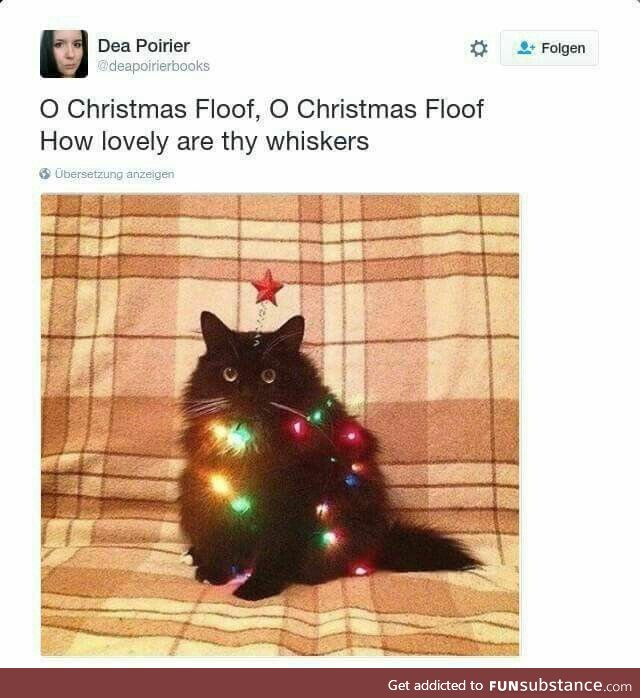 Cutest little tree
