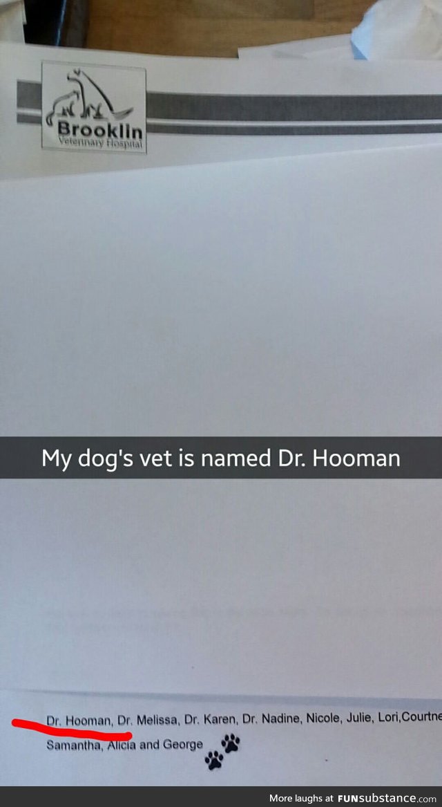 Moon Moon meet Hooman Hooman