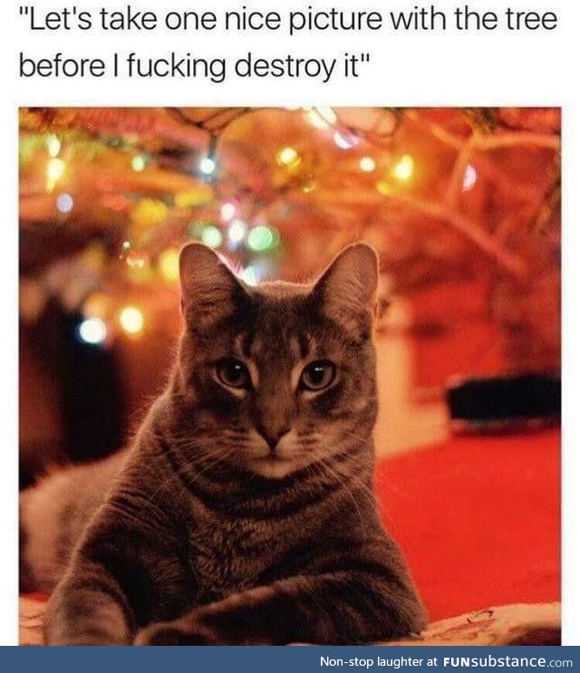 Every christmas