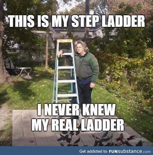 You're not my real ladder!