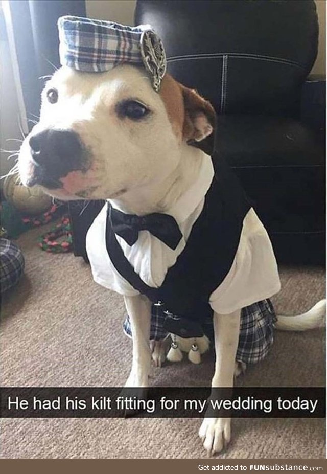 Good lad