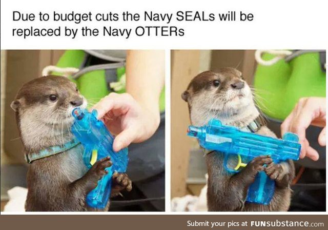 That's otter-ly insane