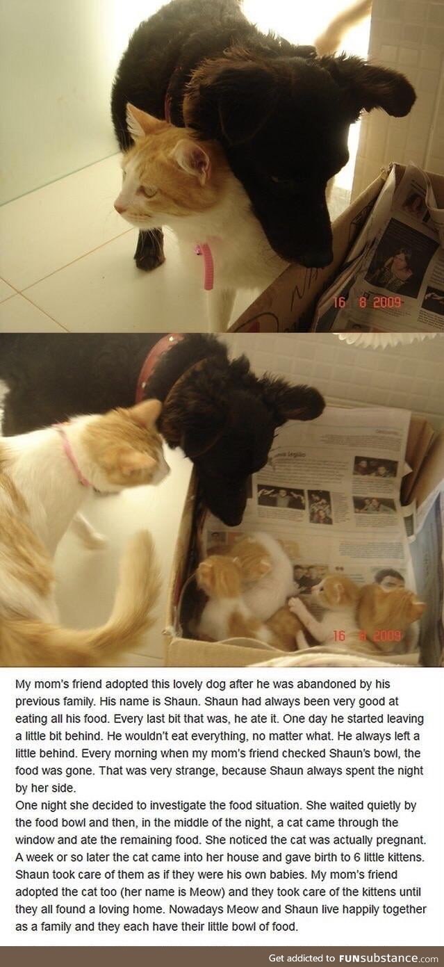 This belongs here