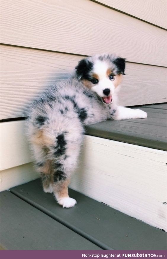 Fluffy
