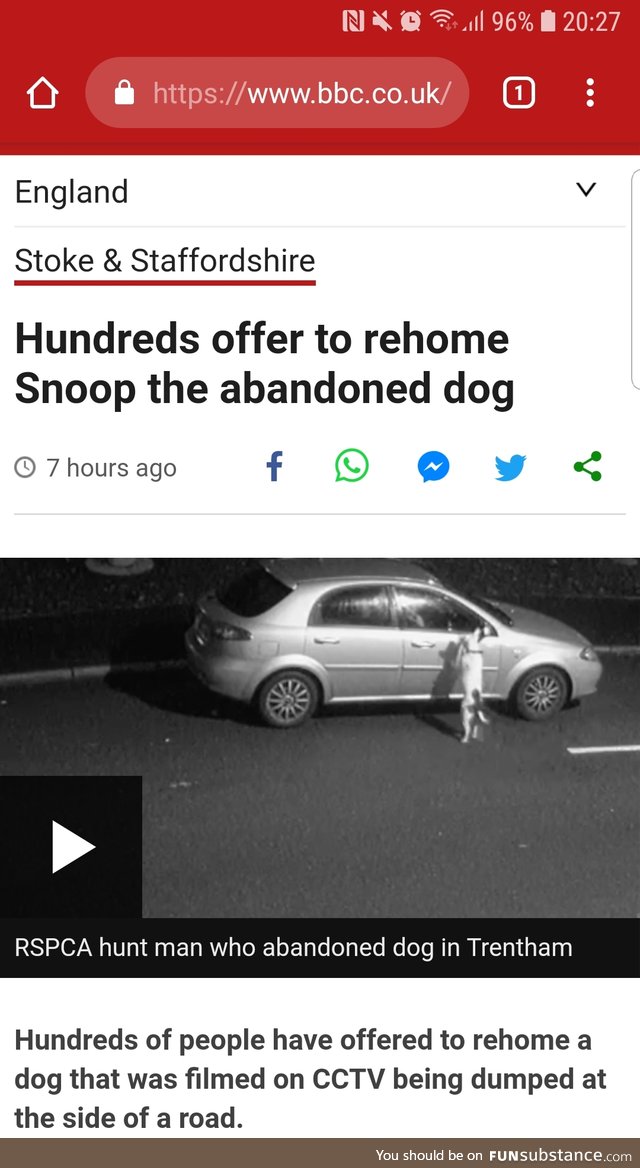 Poor Pupper, hope he gets rehomed *FeelsSub*