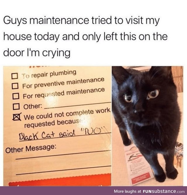"NO"