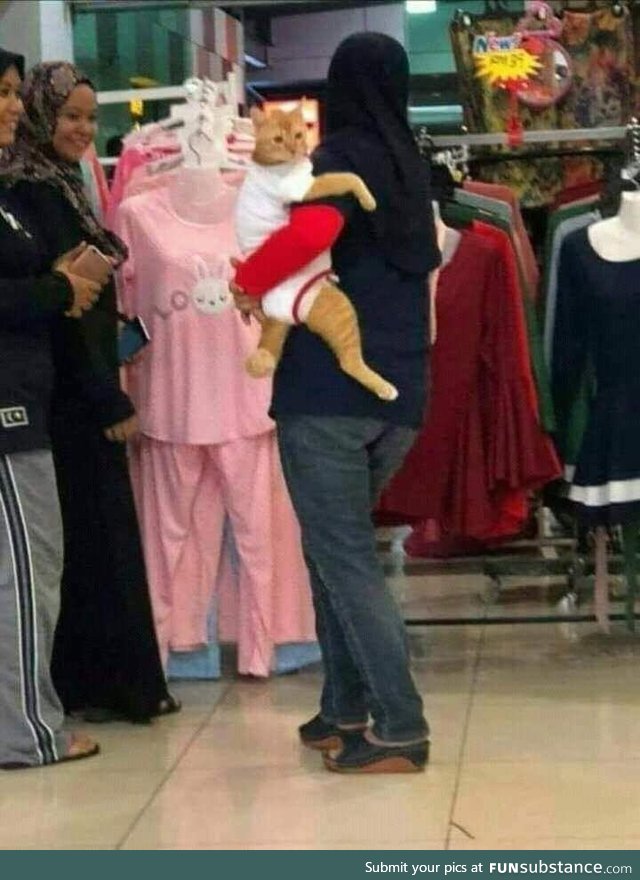 A glimpse into my future