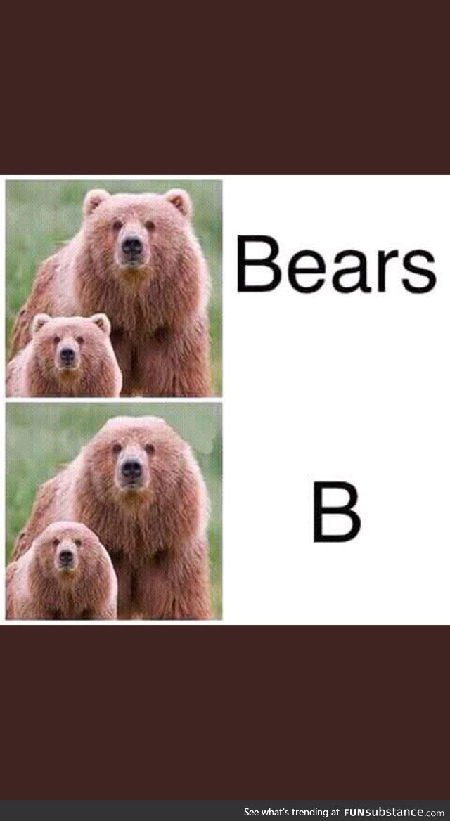 bears without ears , hhhhhh