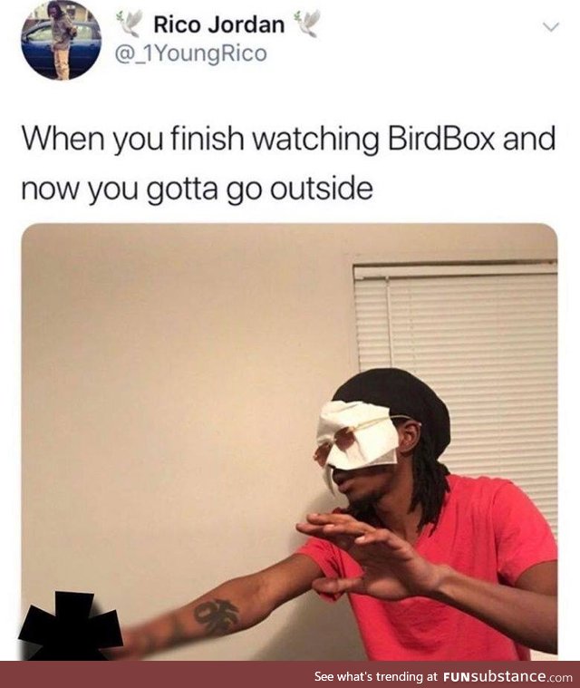 So many birdbox memes