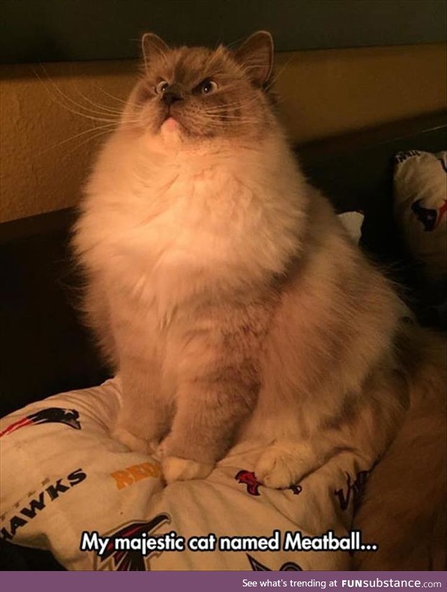 Meatball seems very soft