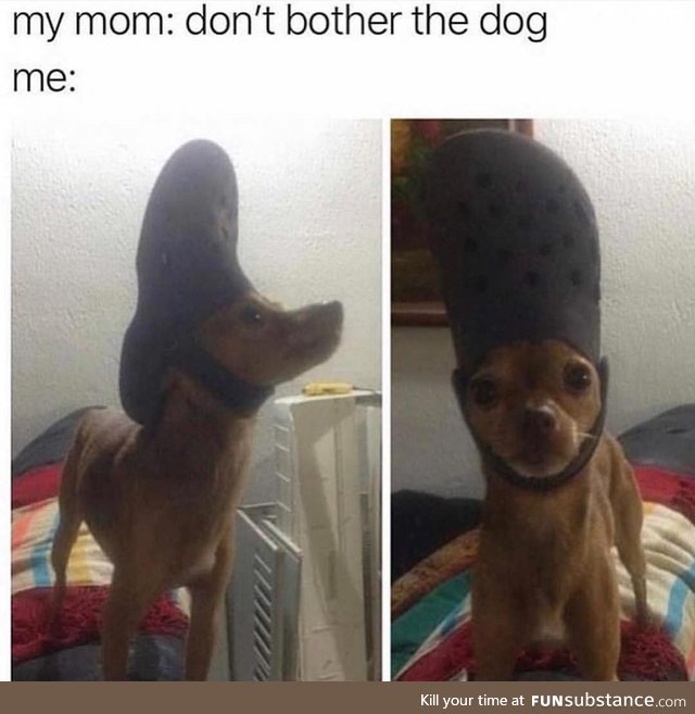 Look at the top of his head