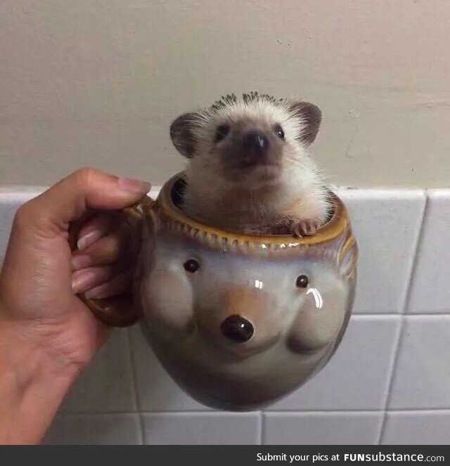 Someone spiked coffee