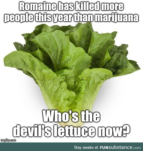 Reefer madness