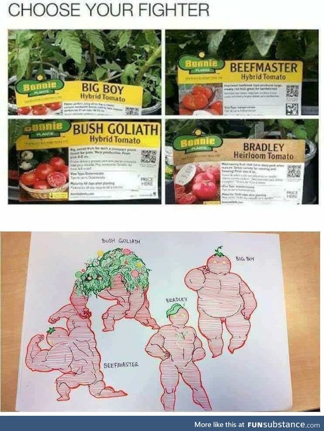 Choose your fighter