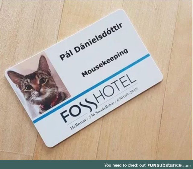 An employee of the year