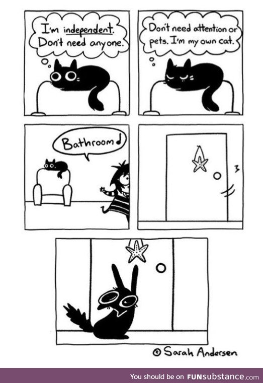 Cats