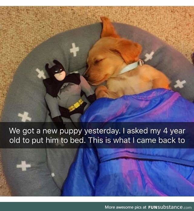 Doing a slep