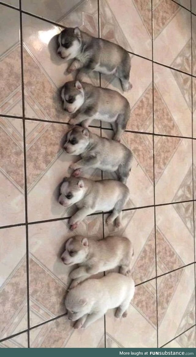 When the black ink runs out while giving birth